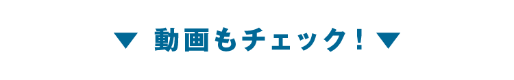 動画もチェック