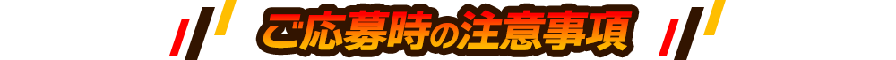 ご応募時の注意事項
