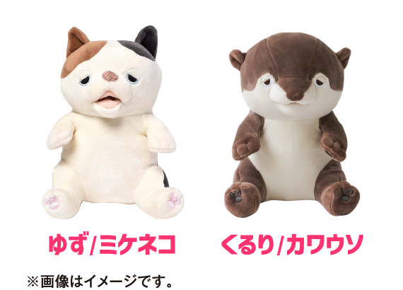 ゆず/ミケネコ くるり/カワウソ