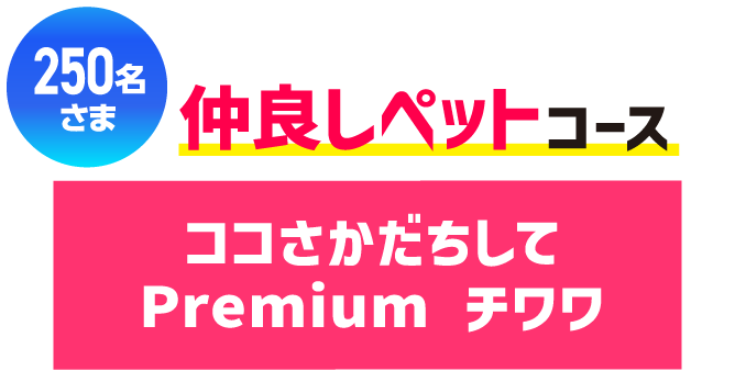 250名さま 仲良しペットコース ココさかだちしてPremium チワワ