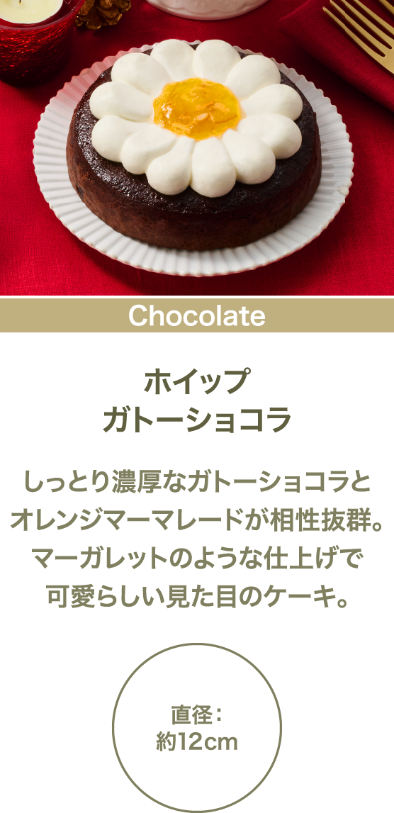 ホイップガトーショコラ しっとり濃厚なガトーショコラとオレンジマーマレードが相性抜群。マーガレットのような仕上げで可愛らしい見た目のケーキ。