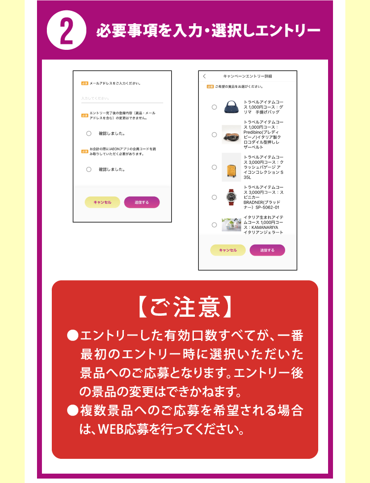 2 必要事項を入力・選択しエントリー