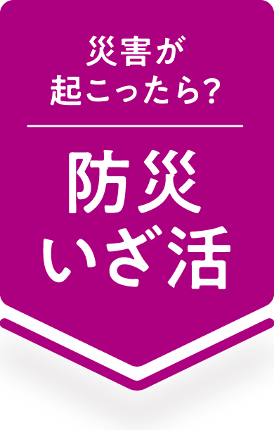 防災いざ活