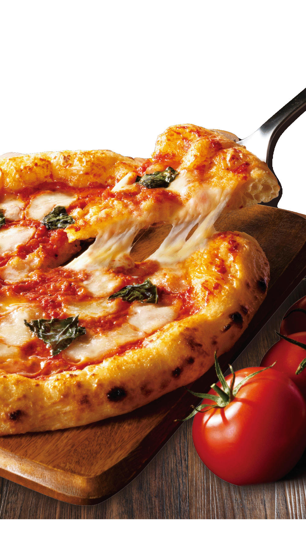 マルゲリータ写真