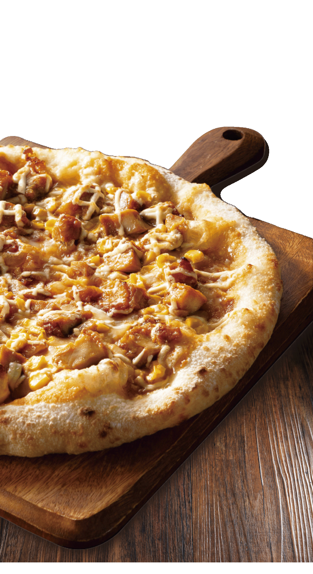 具だくさんてりやきチキンとコーンピッツァ写真