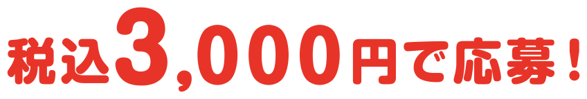 税込3,000円で応募！