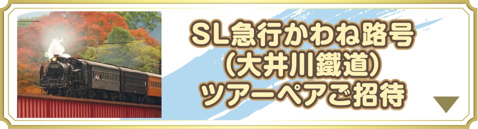 SLかわぬ(大井川鐵道)ツアーペアご招待