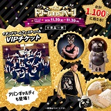 イオンドリームキャンペーンは11月20日(金)から開催！