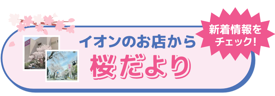 桜だより