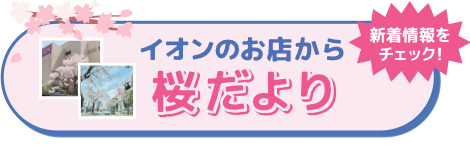 桜だより