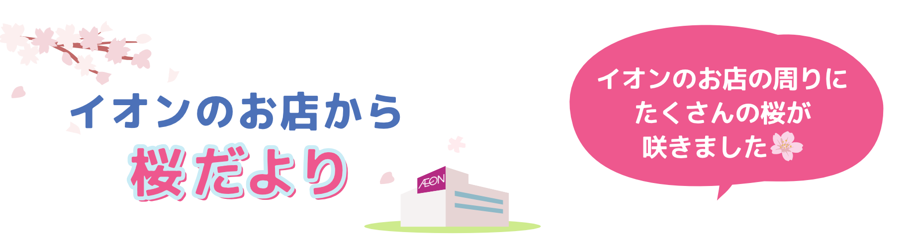 桜だより