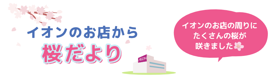 桜だより