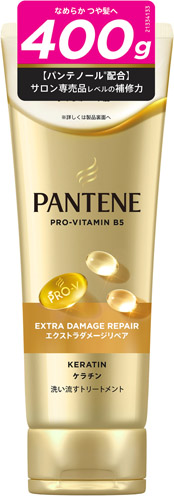 パンテーン エクストラダメージリペア 洗い流すトリートメント特大サイズ