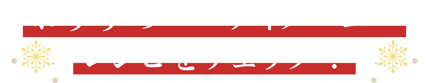 おすすめパーティーメニューをチェック