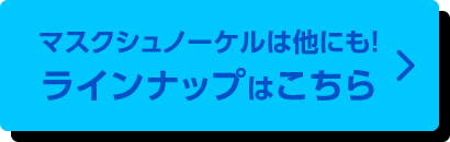 マスクシュノーケルは他にも！ラインナップはこちら