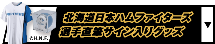 北海道日本ハムファイターズ選手直筆サイン入りグッズ