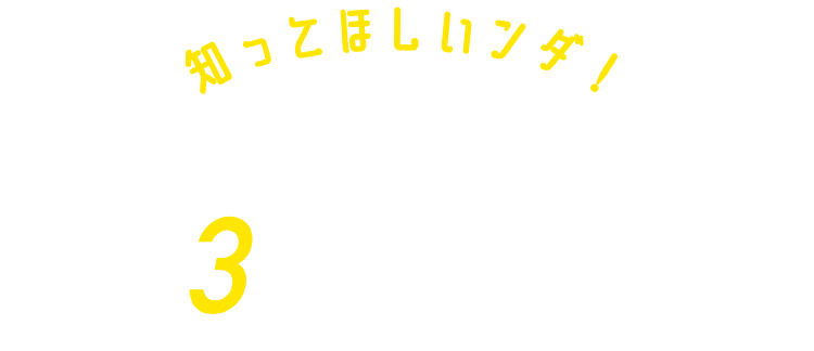 ドリームキャンペーン 3つの特典！