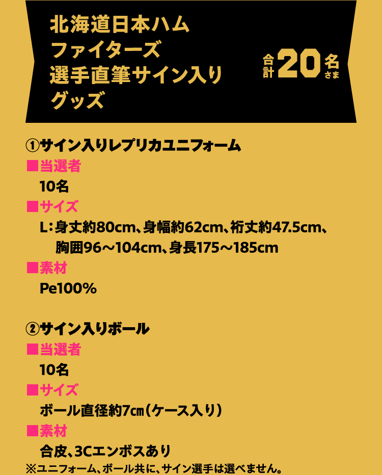 北海道日本ハムファイターズ選手直筆サイン入りグッズ 合計20名さま