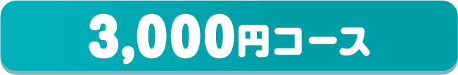 3,000円コース