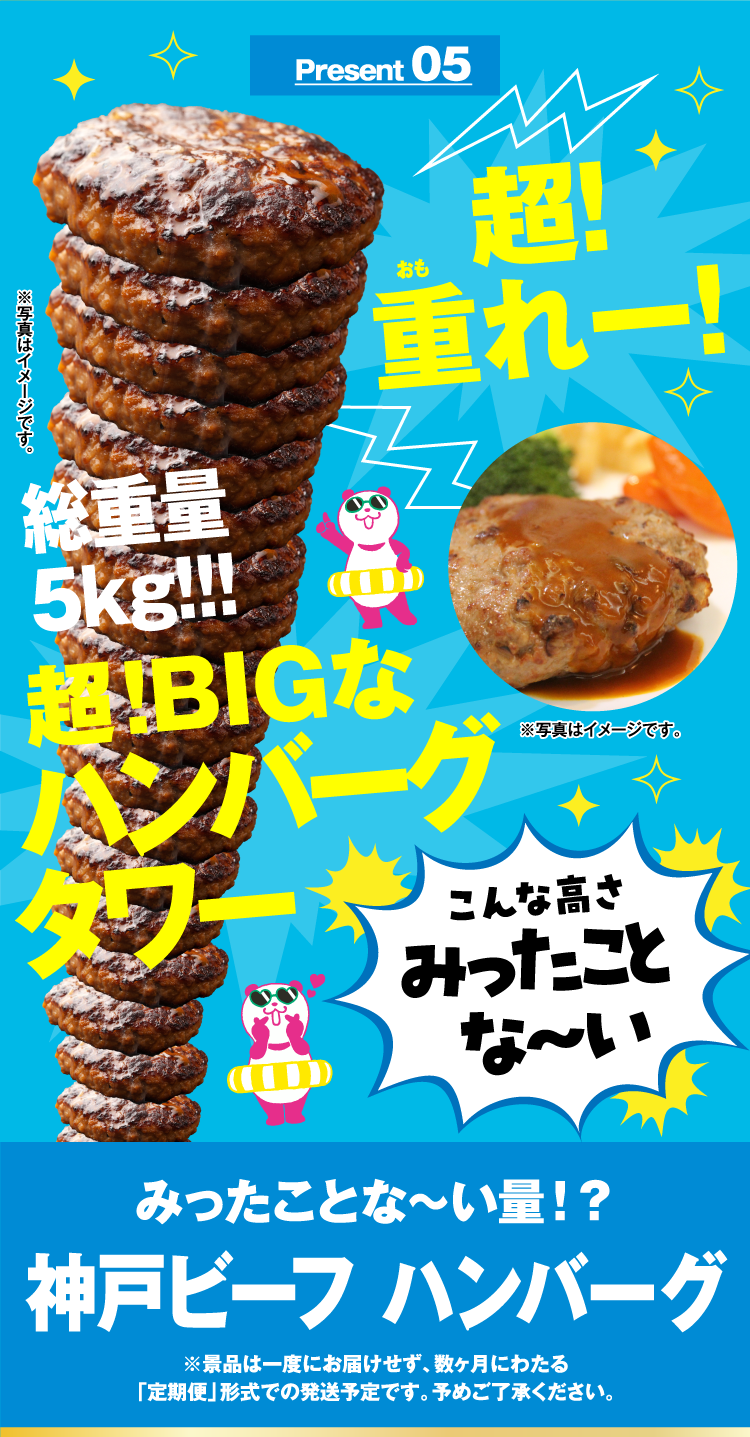 Present 05 みったことな～い量！？ 神戸ビーフ ハンバーグ