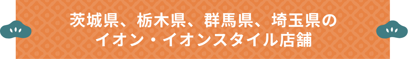茨城県・栃木県・群馬県・埼玉県のイオン・イオンスタイル店舗