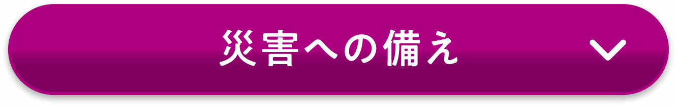 災害への備え