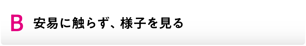 B安易に触らず、様子を見る
