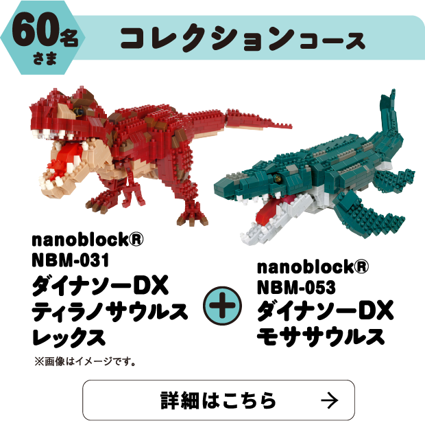 60名さま コレクションコース nanoblock® NBM-031 ダイナソーDXティラノサウルスレックス ※画像はイメージです。 + nanoblock® NBM-053 ダイナソーDXモササウルス 詳細はこちら