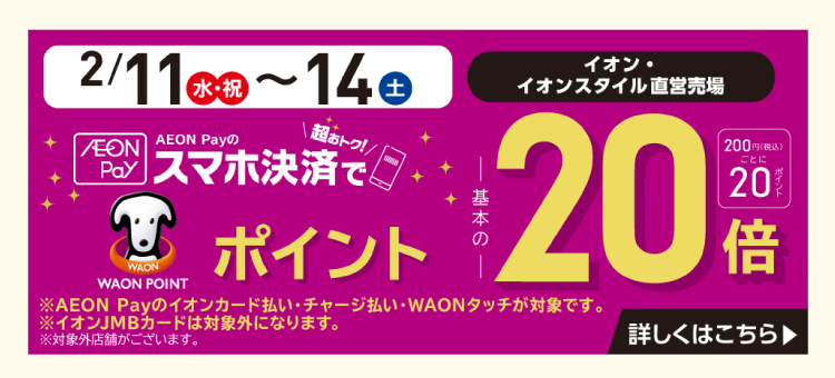 イオンペイポイント20倍