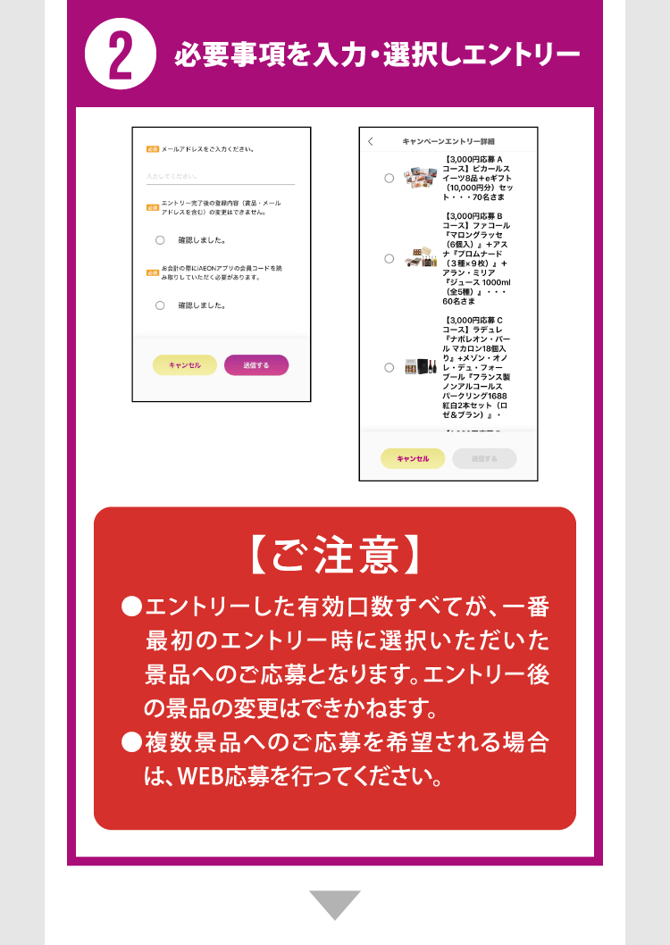 ②必要事項を入力・選択しエントリー