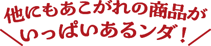 他にもあこがれの商品がいっぱいあるンダ！
