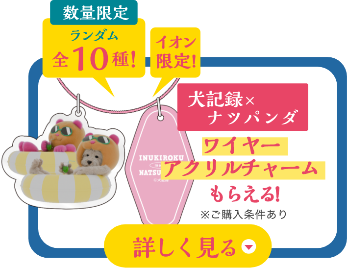 犬記録×ナツパンダ ワイヤーアクリルチャームもらえる！詳しく見る