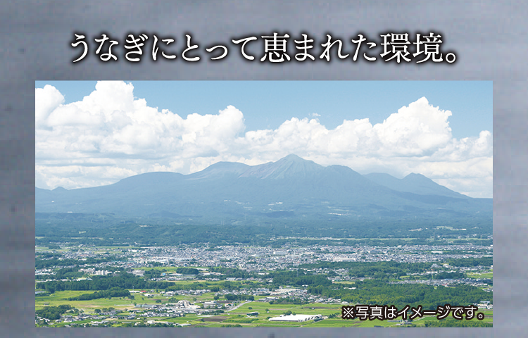 うなぎにとって恵まれた環境。