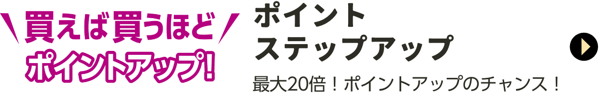 ポイントステップアップ