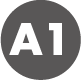 A1