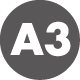 A3