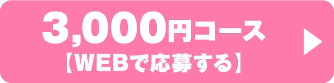 3,000円コース【WEBで応募する】