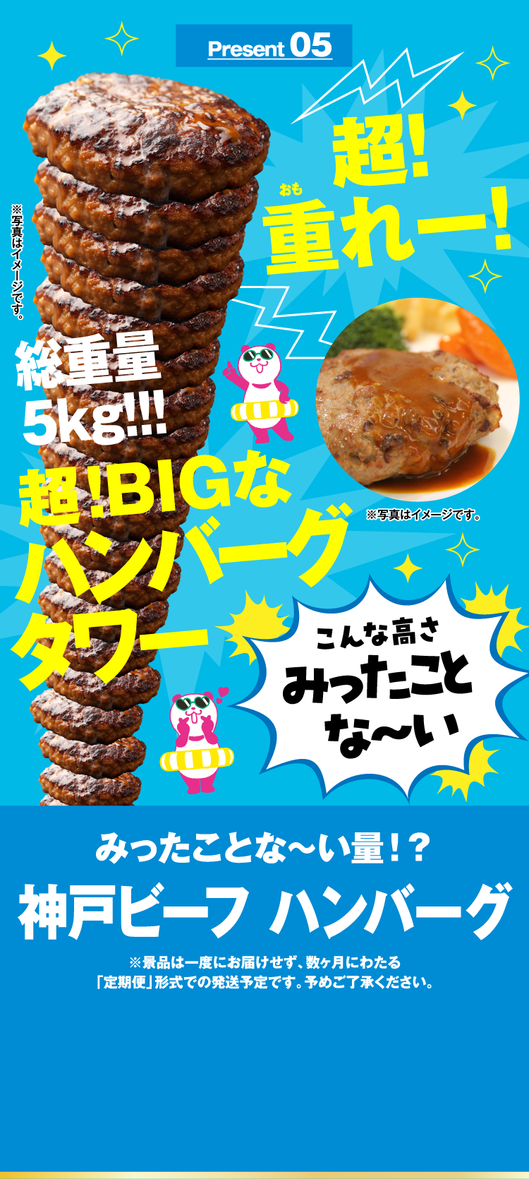 Present 05 みったことな～い量！？ 神戸ビーフ ハンバーグ