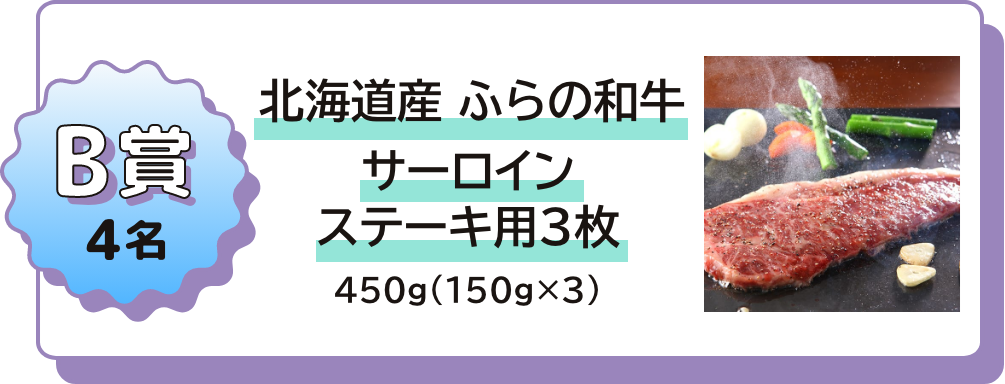 B賞 4名 北海道産 ふらの和牛 サーロインステーキ用3枚 450g(150g×3)