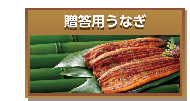 贈答用うなぎ