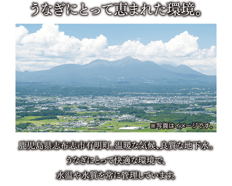 うなぎにとって恵まれた環境。 鹿児島県志布志市有明町。温暖な気候、良質な地下水。 うなぎにとって快適な環境で、水温や水質を常に管理しています。