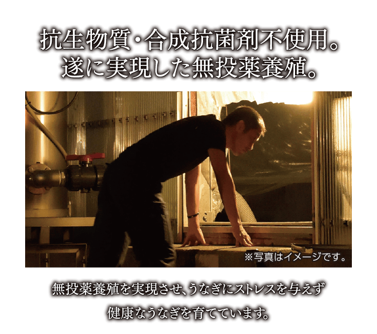 抗生物質・合成抗菌剤不使用。 遂に実現した無投薬養殖。 無投薬養殖を実現させ、うなぎにストレスを与えず健康なうなぎを育てています。