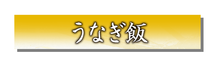 うなぎ飯