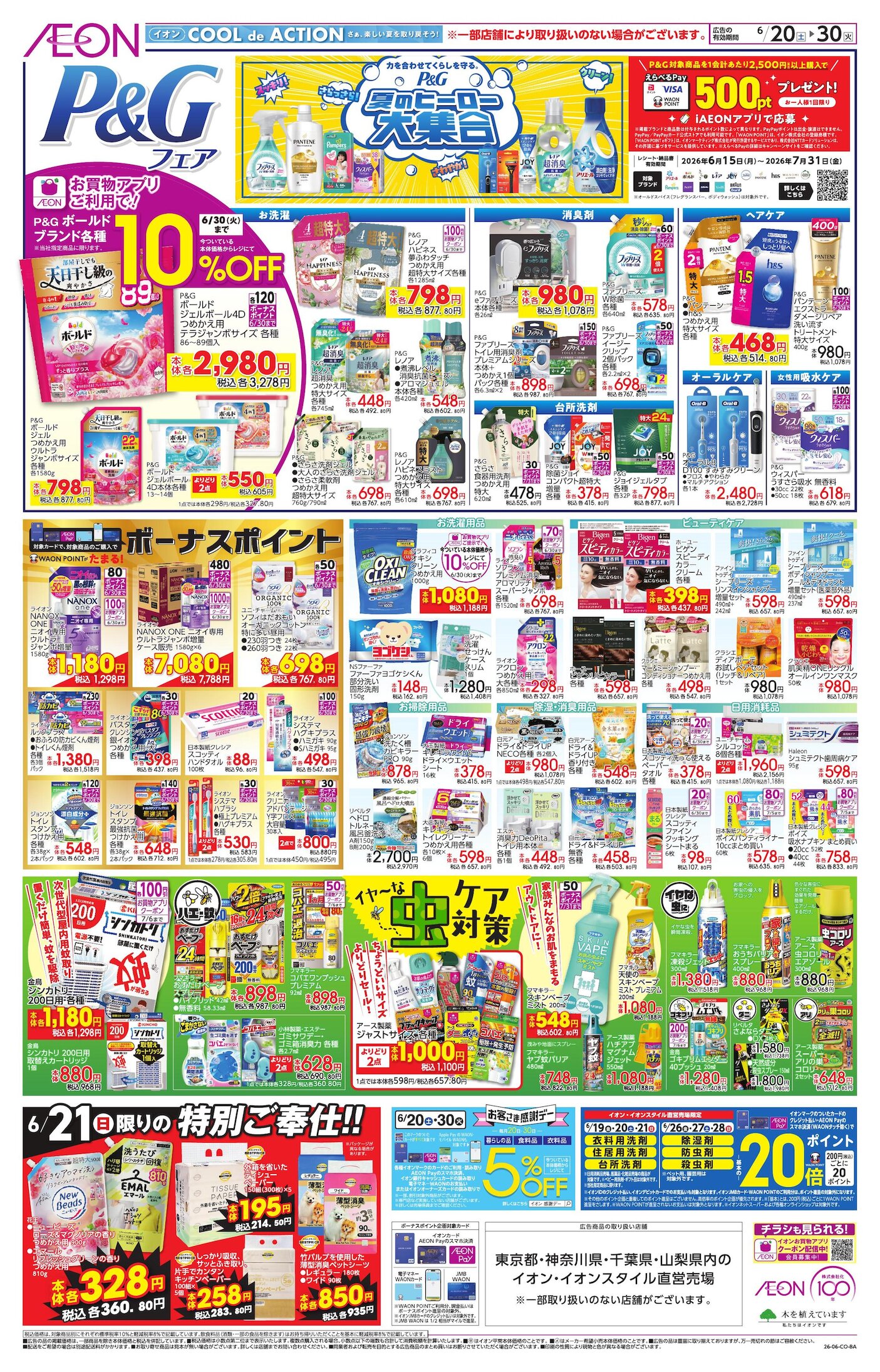 ザ・ビッグ昭島店のチラシ
