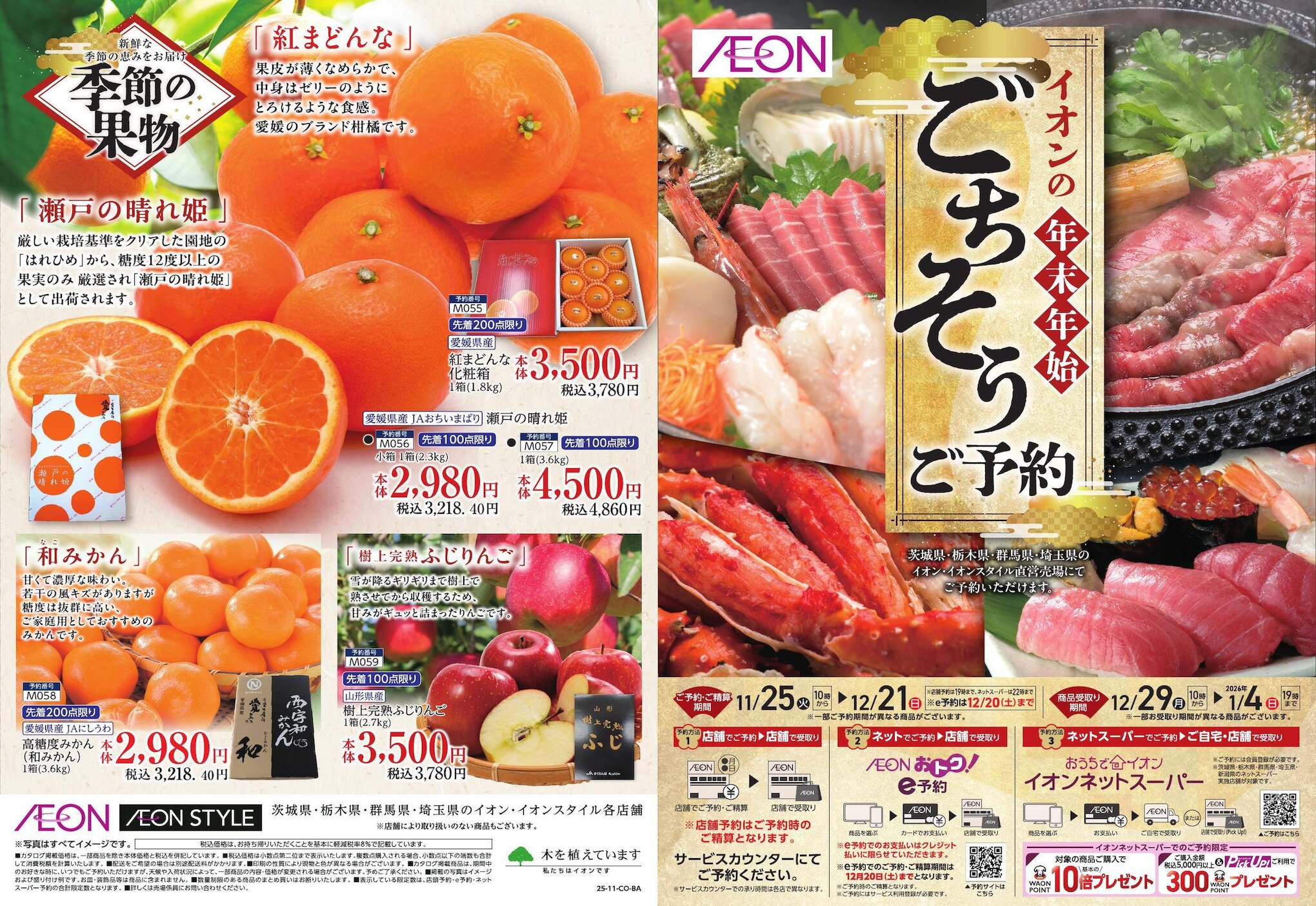 イオン鹿嶋店のチラシ