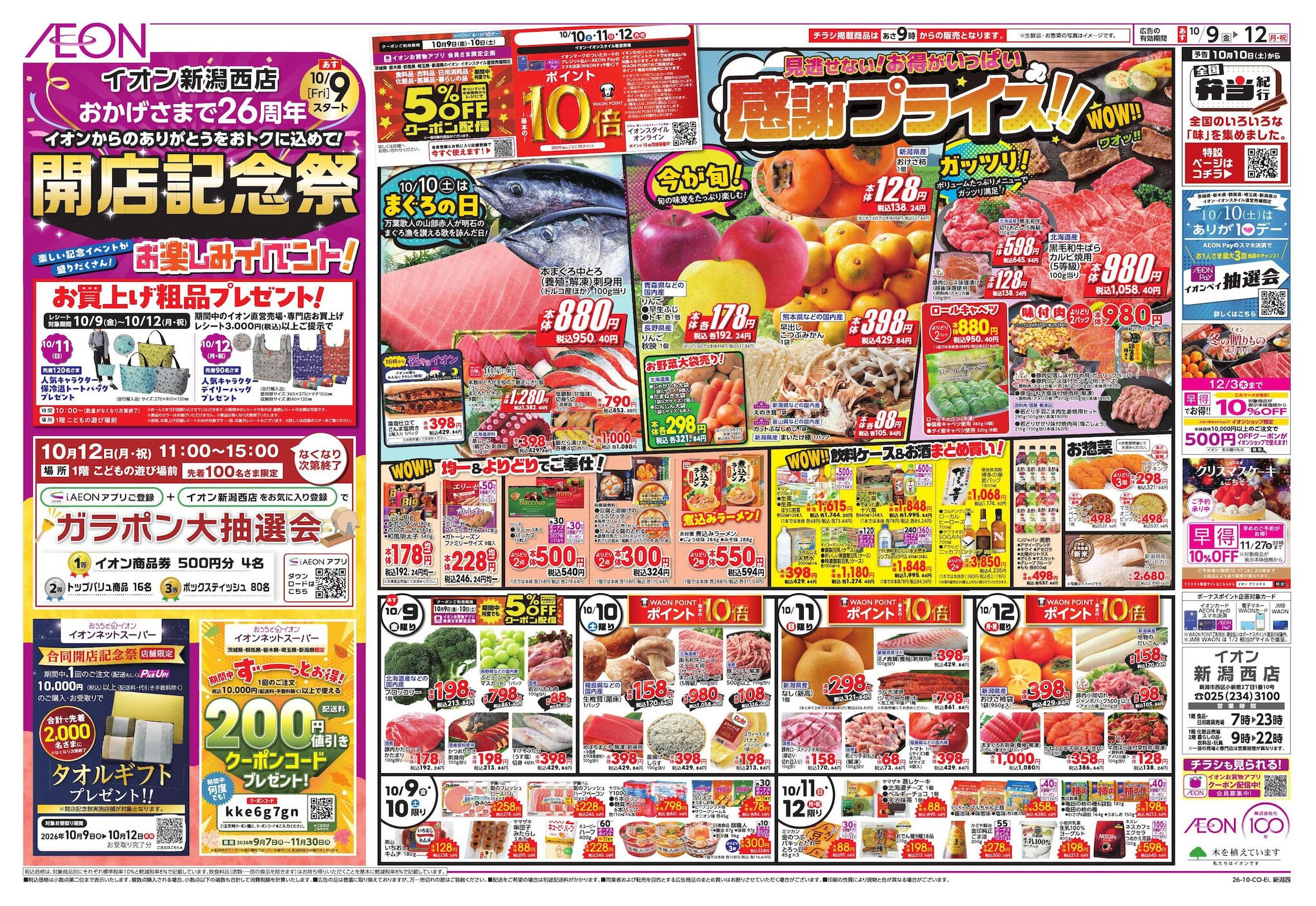 イオン新潟西 チラシ